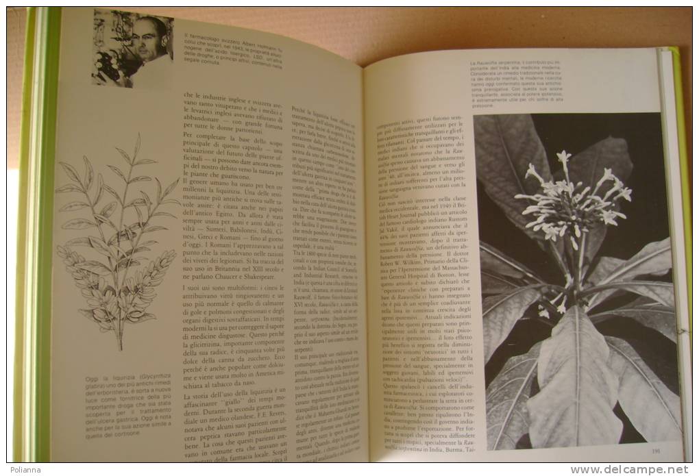 PEQ/3 IL GRANDE LIBRO DELLE PIANTE MEDICINALI Vallardi 1984/ERBORISTERIA/BOTANICA - Jardinage