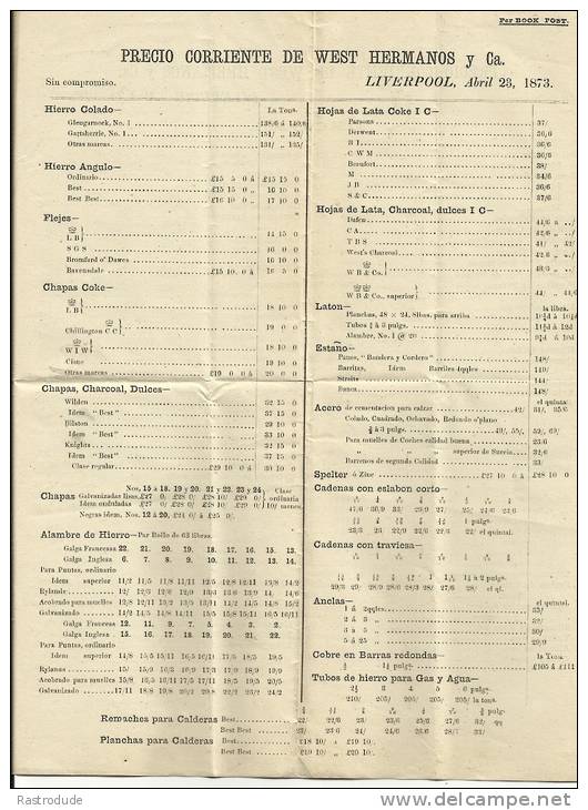 GREAT BRITAIN – 1873 1d BOOK POST PRINTED MATTER TO SPAIN - Brieven En Documenten