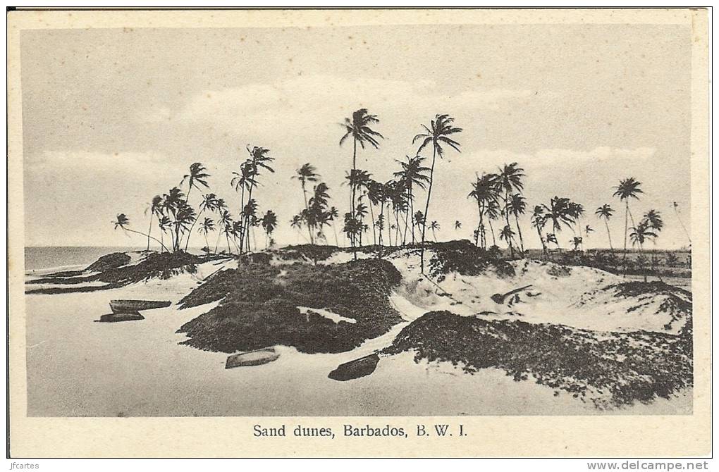 Etr - Illes BARBADES - Sand Dunes  - Barbados - Barbades