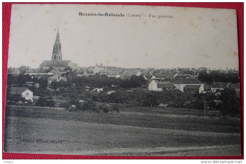 Dep 45 , Cpa BEAUNE La ROLANDE , Vue Générale (31) - Beaune-la-Rolande