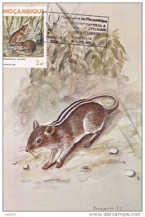 MOUSE, 1983, CM. MAXI CARD, CARTES MAXIMUM, MOZAMBIQUE - Nager