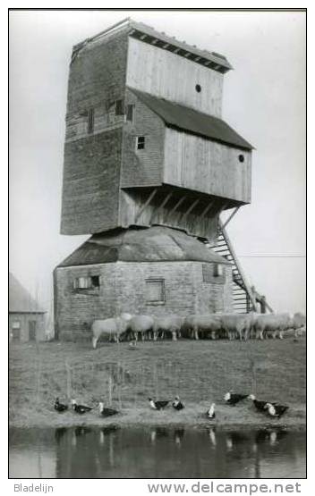 BIKSCHOTE - Langemark (W.Vl.) - Molen/moulin - Historische Opname Van De Blauwe Molen Voor De Restauratie. Prachtkaart! - Langemark-Poelkapelle