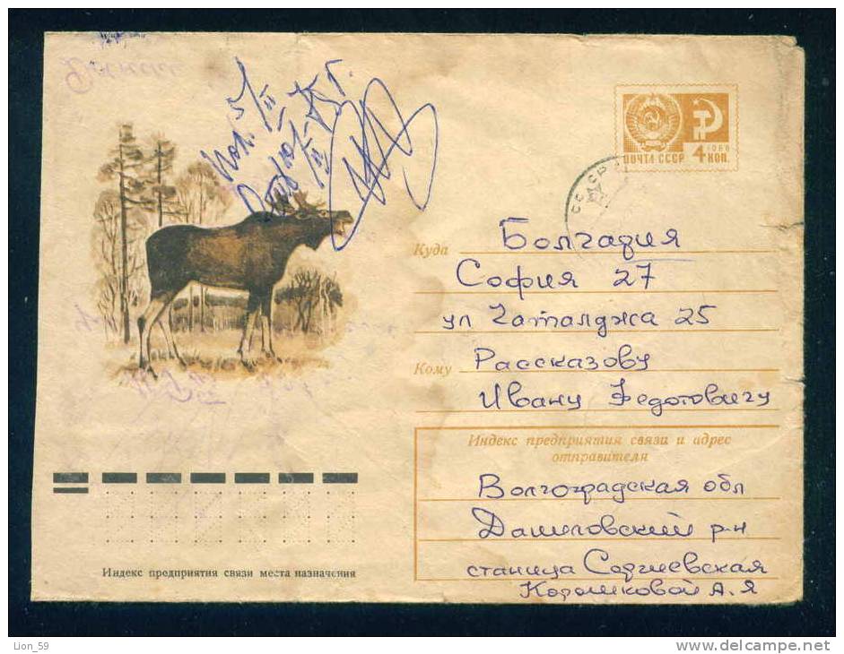 PS8970 / ANIMALS The Moose (North America) Or Eurasian Elk (Europe) (Alces Alces) 1974 Stationery Entier Russia Russie - Gibier