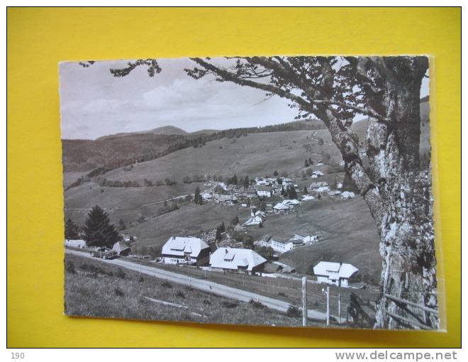 Todtnauberg,Schwarzwald - Todtnau