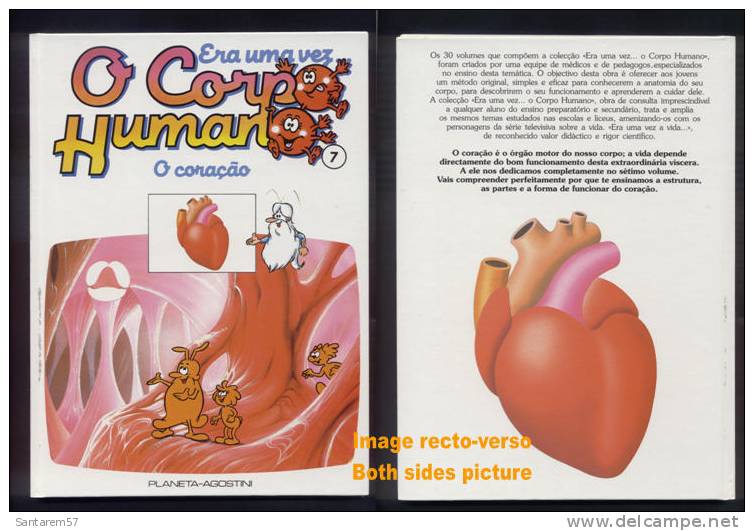 Livre Book Livro Era Uma Vez O Corpo Humano N° 7 Il étatit Une Fois Ouvrage En Portugais 1991 O Coração Le Coeur - Comics & Manga (andere Sprachen)