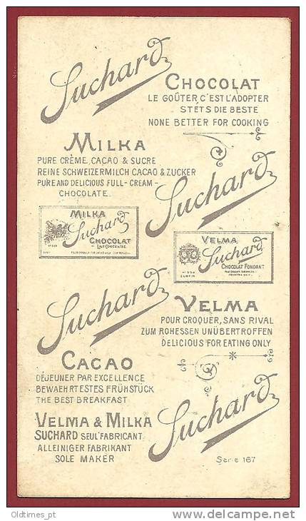 SWISS - SUCHARD CHOCOLATE - ADVERTISING CARD - 1900 - Suchard