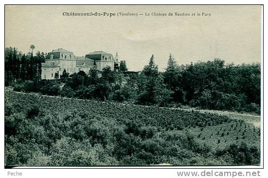 N°20167 -cpa Chateau Neuf Du Pape -le Château De Vaudieu Et Le Parc- - Chateauneuf Du Pape
