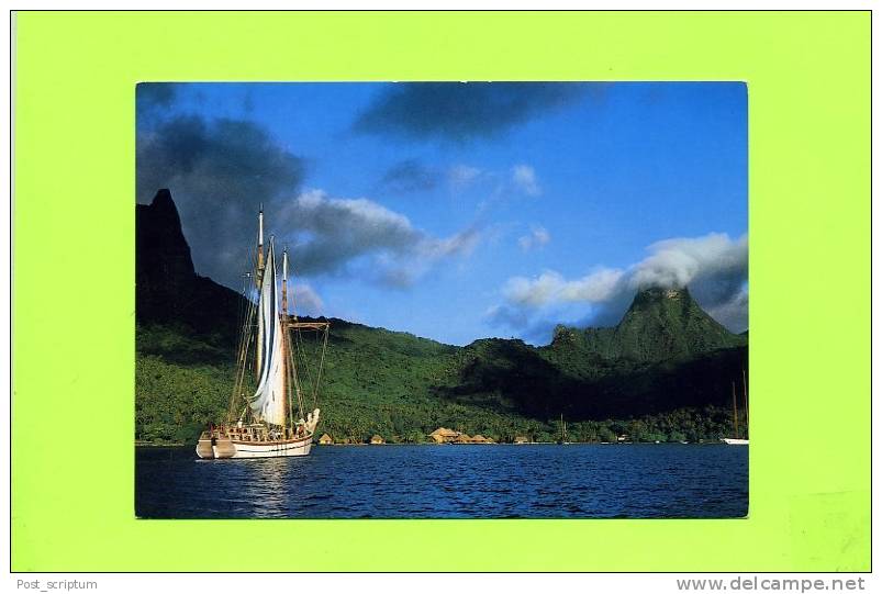 Océanie - Polynésie Française -  Moorea - La Baie De Cook - Polynésie Française