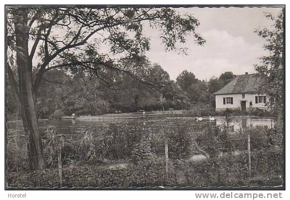 D-32257 Bünde - In Westfalen - Bürgerpark - Schwanenteich - Buende