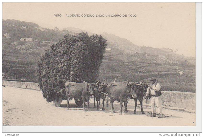 (AKL161) VIGO. ALDEANO CONDUCIENDO UN CARRO DE TOJO - Pontevedra