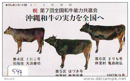 Télécarte JAPON * VACHE (547) COW * KOE * BULL * TAUREAU * STIER * PHONECARD JAPAN * TELEFONKARTE * VACA * TAURUS * - Vaches