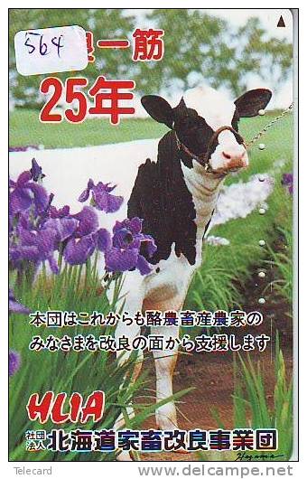 Télécarte JAPON * VACHE (564) LELIE * COW * BULL * TAUREAU * STIER * PHONECARD JAPAN * TELEFONKARTE * VACA * TAURUS * - Cows