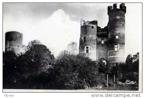 38  BRESSIEUX Ruines Du Vieux Chateau - Bressieux