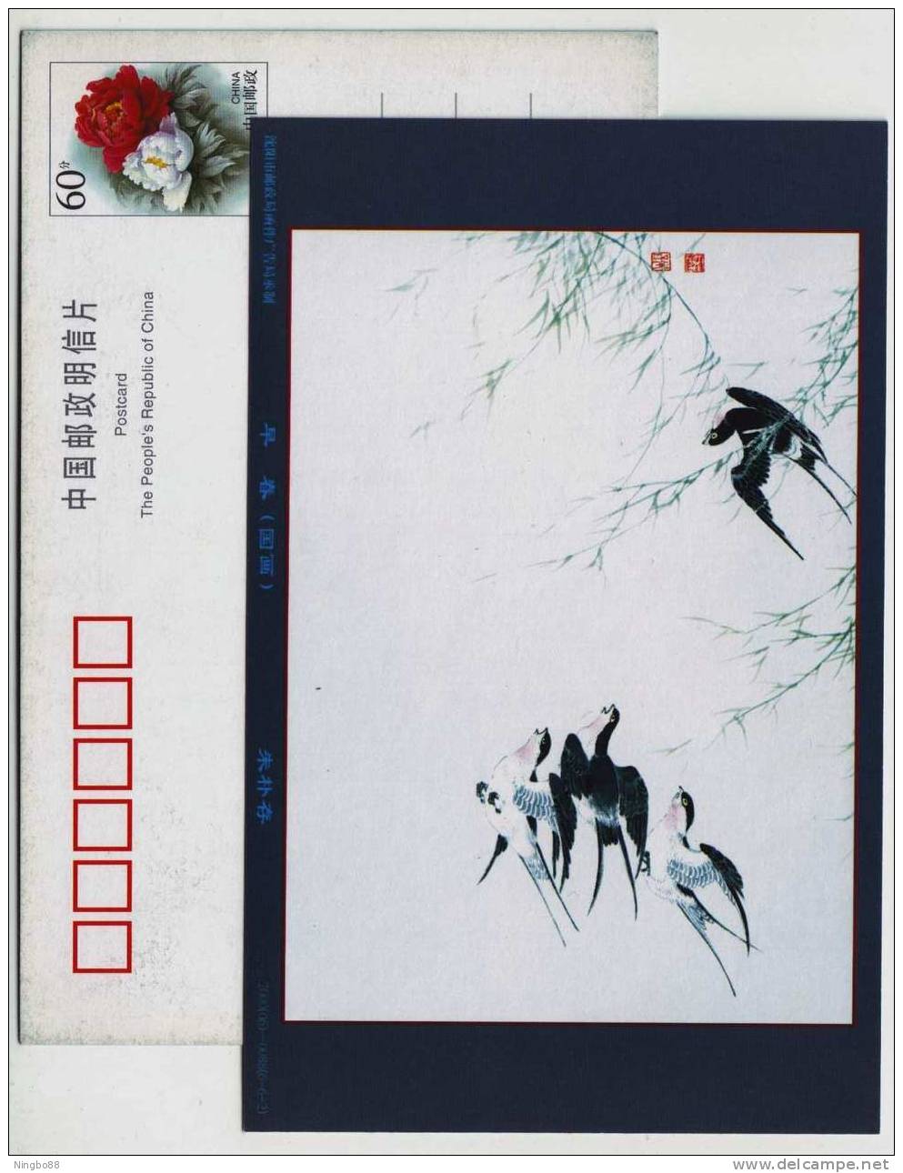 Swift Bird,China 2000 Flower & Bird Chinese Painting Postal Stationery Card - Schwalben