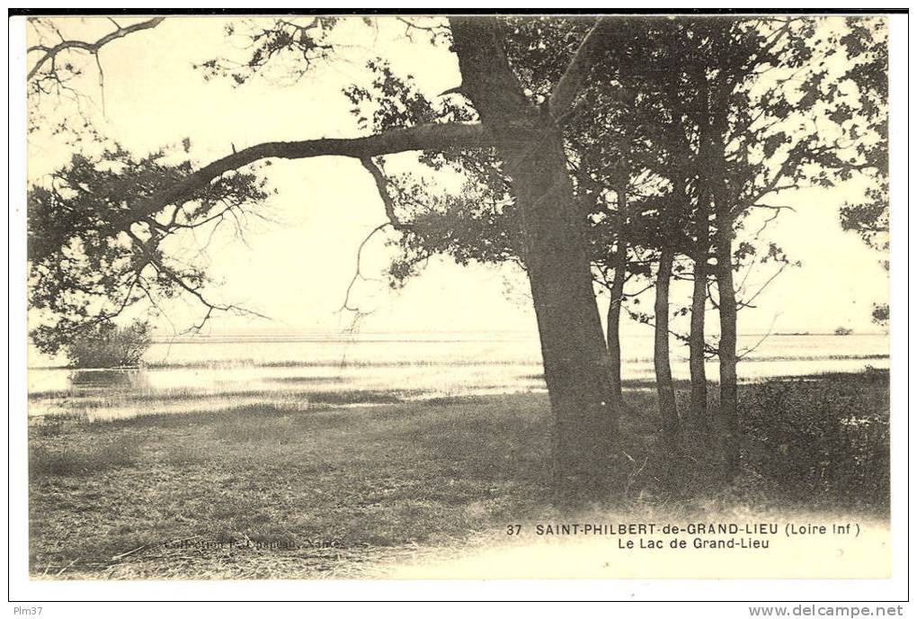 SAINT PHILBERT DE GRAND LIEU - Le Lac De Grand Lieu - Saint-Philbert-de-Grand-Lieu