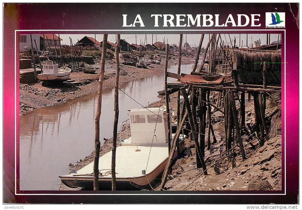 CPSM La Tremblade     L1073 - La Tremblade