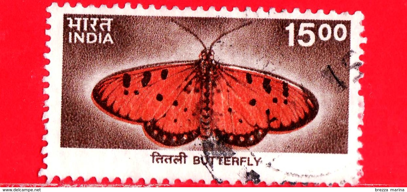 INDIA - Usato - 2000 - Farfalla - Butterfly - 15.00 - Gebruikt