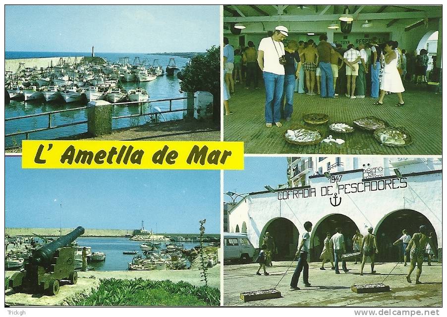 Espana L´Armetlla De Mar Tarragona Multiview / Poisson Vis Fish - Plazas De Mercados