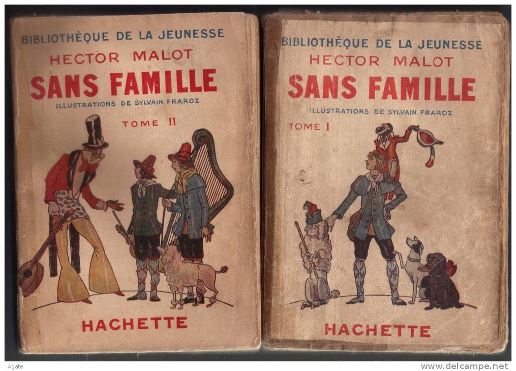 Bibliothèque De La Jeunesse (Hachette) SANS FAMILLE 2 Tomes - Hector Mallot (1933) - Bibliothèque Verte