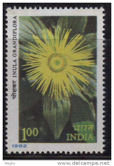 India MNH 1982, 1.00r Himalayan Flowers, Flower Showy Inula - Unused Stamps