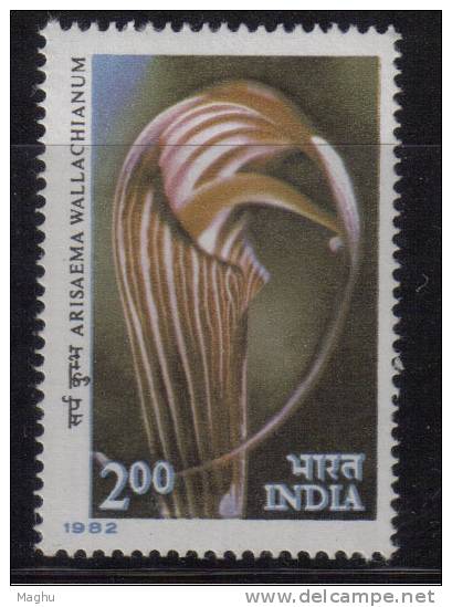 India MNH 1982, 2.00 Himalayan Flowers, Cobra Lily Flower - Unused Stamps