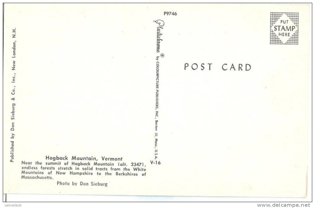 USA, Hogback Mountain, Vermont, Unused Postcard [10299] - Andere & Zonder Classificatie