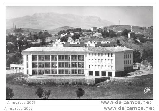 K 26 /  DEPT ALGERIE CPSM FORMAT CPA SOUK AHRAS ECOLE CONSTANTVILLE - Souk Ahras