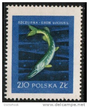 POLAND    Scott #  812**  VF MINT NH - Neufs