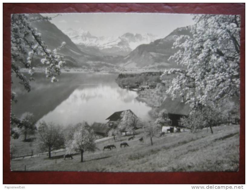 Sachseln (OW) - Frühling Am Sarnersee - Sachseln