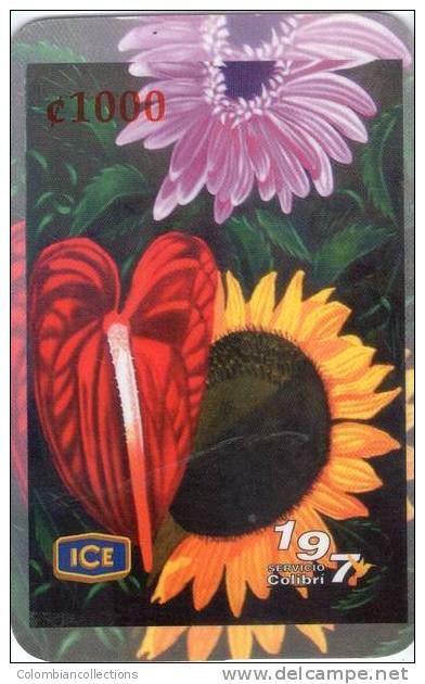 Lote TTE48, Costa Rica,  Tarjeta Telefonica, Phone Card, Flor, Girasol, 1.000, Flower, Used, Not Perfect Card - Costa Rica