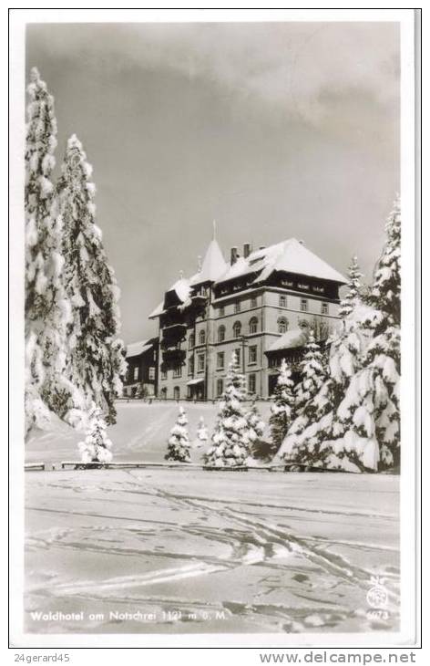 CPSM TODTNAU (Allemagne-Bade Wurtemberg) - Muggenbrunn : Waldhotel Am Nottschrei 1121 M - Todtnau