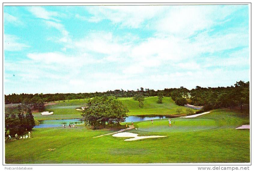 Championship Golf Course - Cape Cod - Mass. - Cape Cod