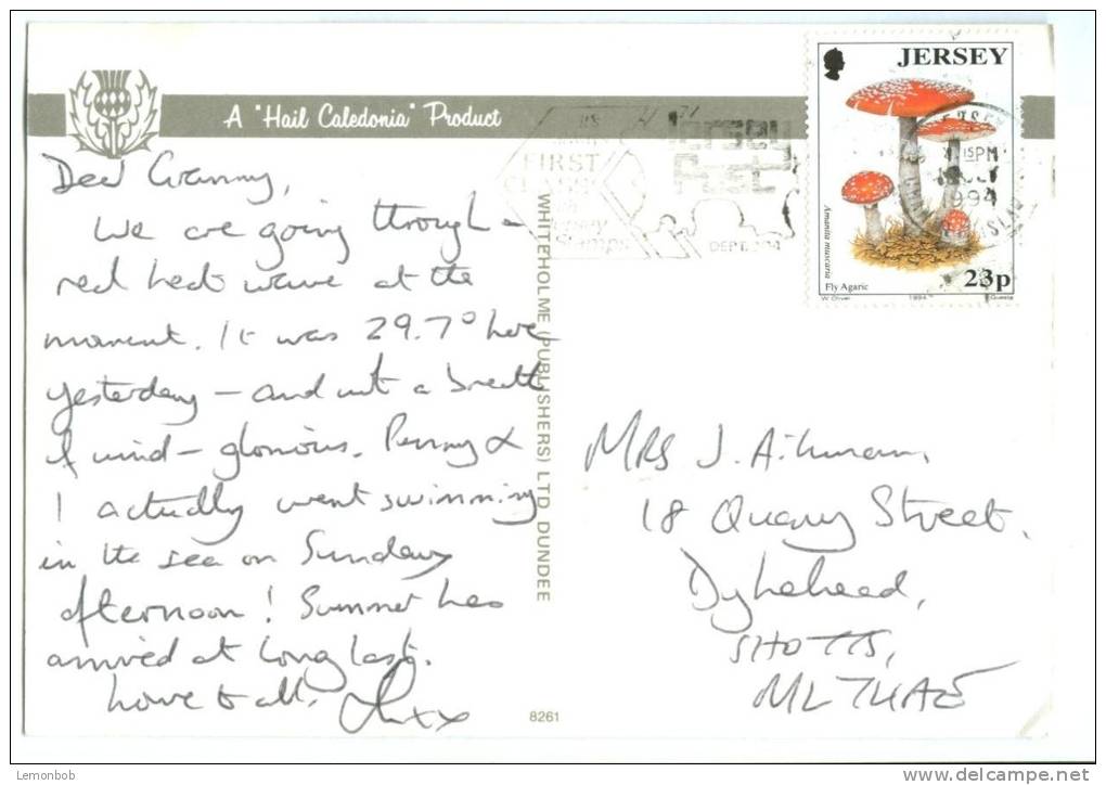 UK, The Devil's Beef Tub, Moffat, 1994 Used Postcard [10590] - Dumfriesshire