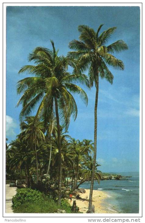 BARBADOS-MARTIN´S BAY, ST. JOHN / THEMATIC STAMP-CRAB / MARINE LIFE - Barbades