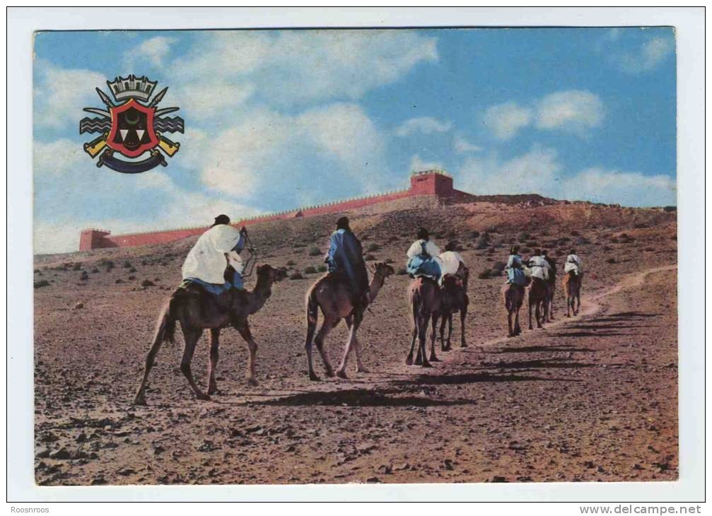 CP MAROC  - CARAVANE AU PETIT MATIN - Agadir