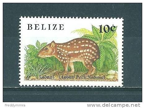 Belize: 913 ** - Nager