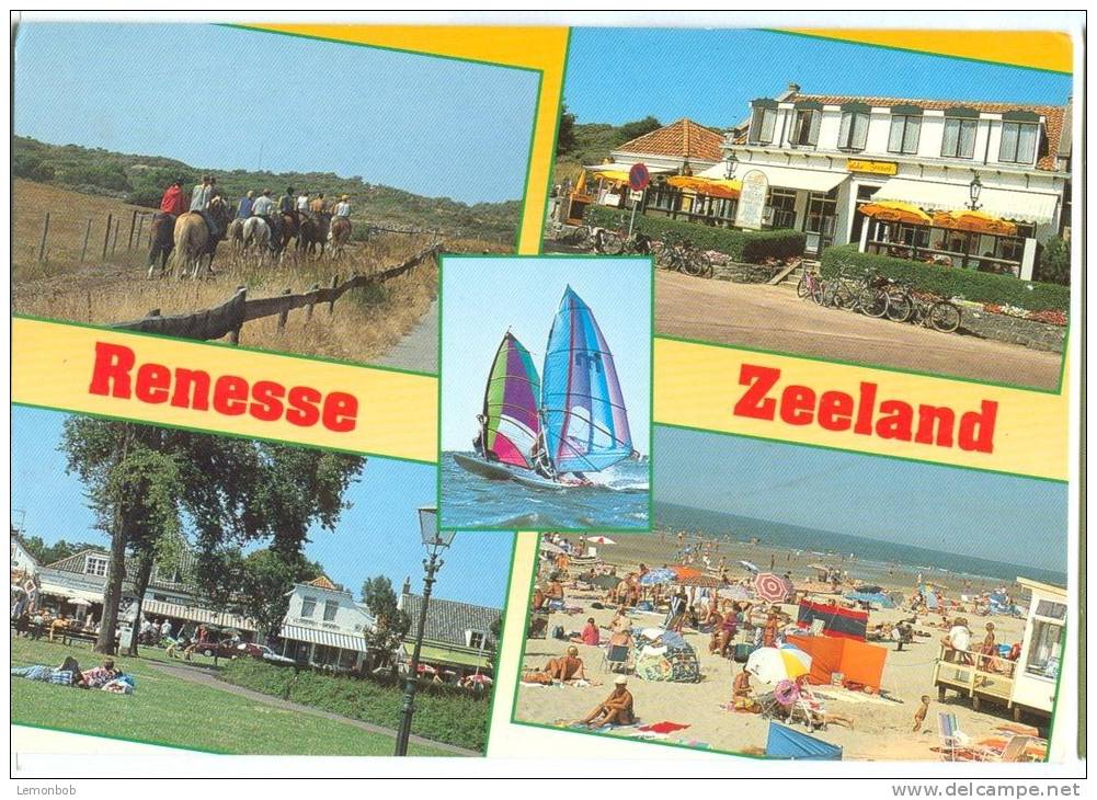 Holland, Netherlands, Renesse, Zeeland, 1998 Used Postcard [10810] - Renesse