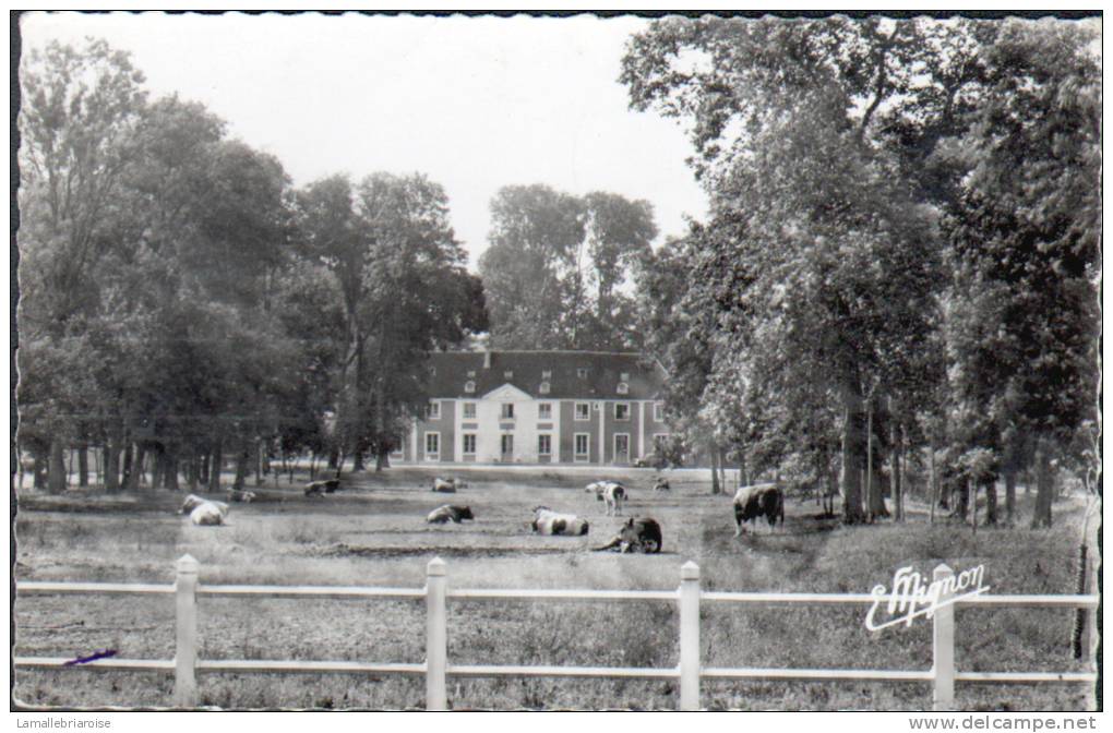 89 - CHARMOY - DOMAINE DES CHARMEAUX - TAUREAUX - Charmoy