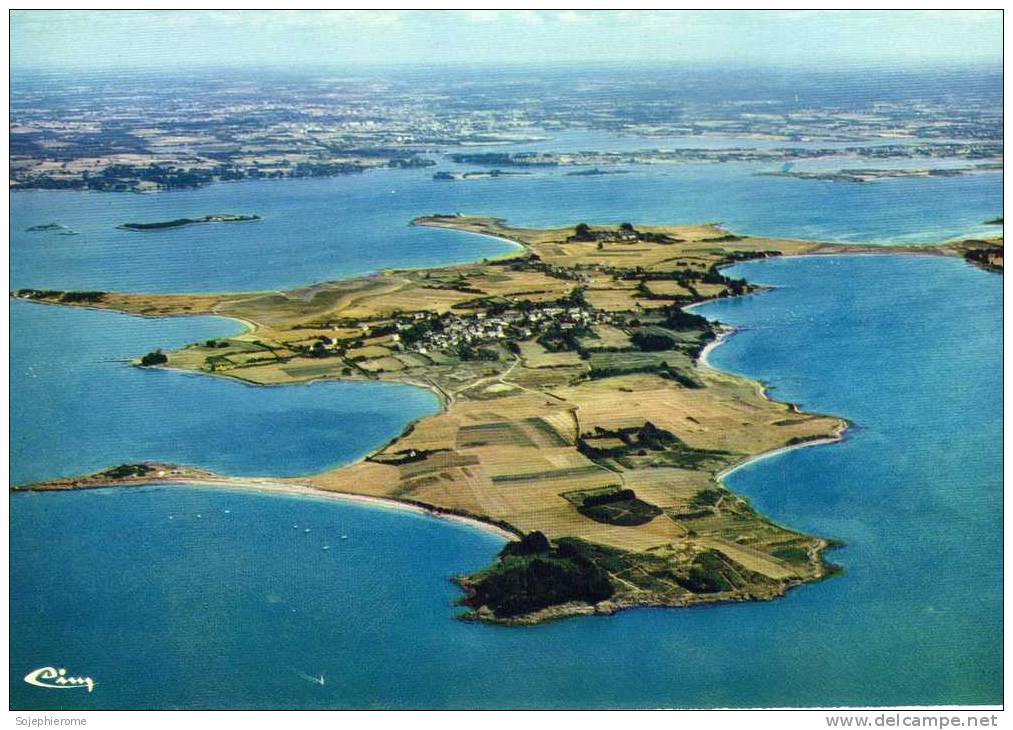 île D'Arz Vue Générale Aérienne - Ile D'Arz