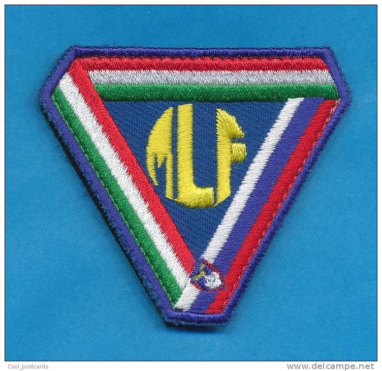 SLOVENIA, SLOVENIAN ARMY SLEEVE PATCH, MLF, MULTINATIONAL LAND FORCES, SLOVENIA ITALY & HUNGARY - Stoffabzeichen