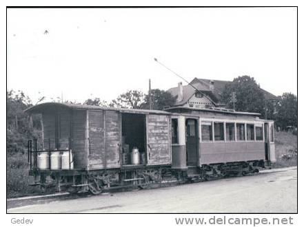 Chemin De Fer Gland-Begnins, Train à Gland Photo 1948 BVA 220.1 GB - Gland