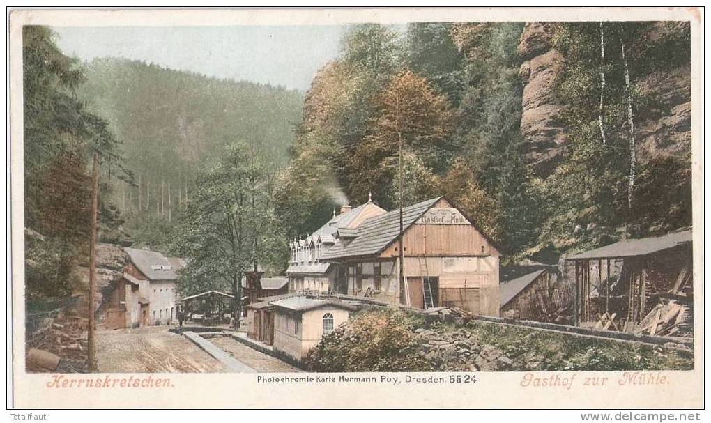 Herrnskretschen Böhmische Schweiz Gasthof Zur Mühle Color H&#345;ensko Ungeteilte Rückseite Um 1905 Ungelaufen - Boehmen Und Maehren