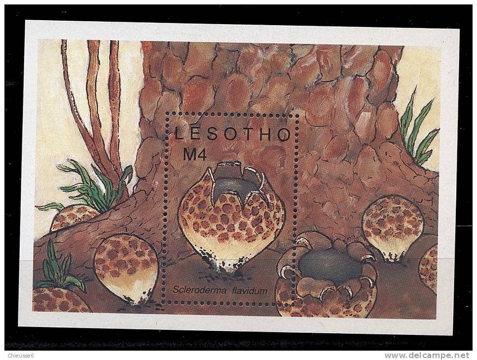 Lesotho ** -  Bloc 69 - Champignons... - Lesotho (1966-...)