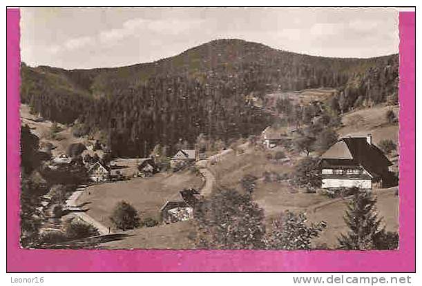 BAD RIPPOLDSAU  -   * ORTSTEIL HOLZWALD *   -   Verlag : Gerhard BALLAT Aus Bad Rippoldsau   N° 4646/1 - Bad Rippoldsau - Schapbach