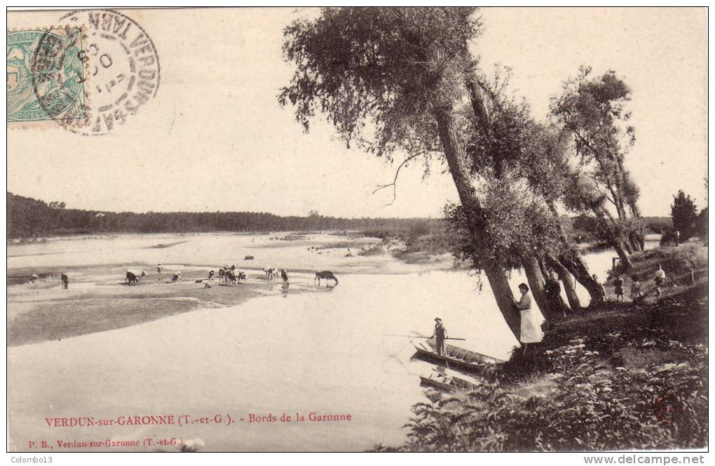 82 VERDUN SUR GARONNE  BORDS DE LA GARONNE - Verdun Sur Garonne