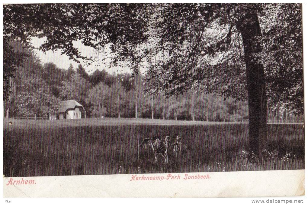 Hertencamp_Park Sonsbeek - Arnhem