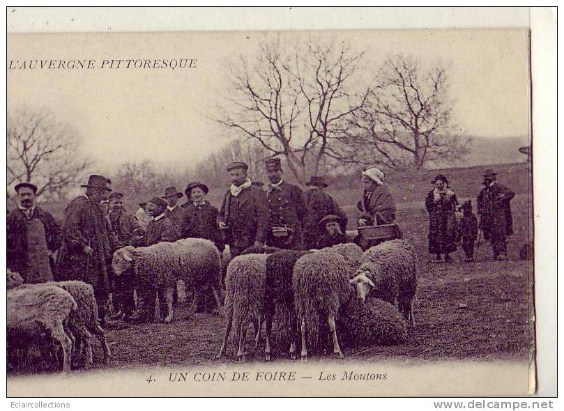 Non Localisé .L' Auvergne Pittoresque . Cantal  15     La Foire Aux Moutons  (voir Scan) - Auvergne