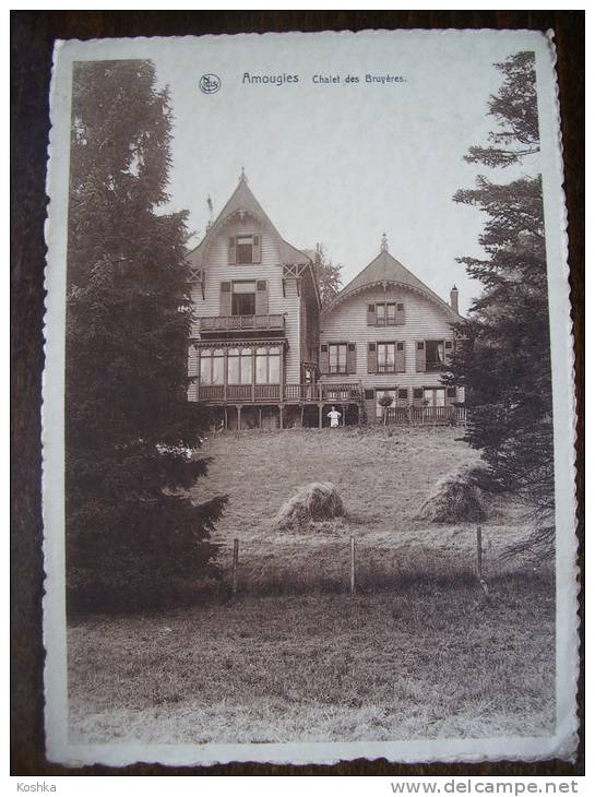 AMOUGIES - 1937 - Chalet Des Bruyères - Ovaert  -   Lot 180 - Kluisbergen