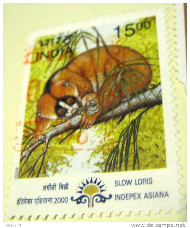 India 2000 Slow Loris  15.00 - Used - Oblitérés