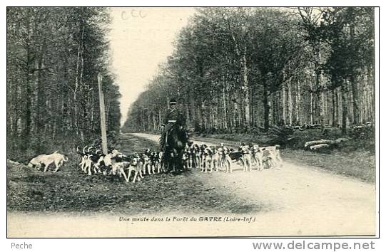 N°22525 -cpa Une Meute Dans La Forêt De Gavre - Chasse